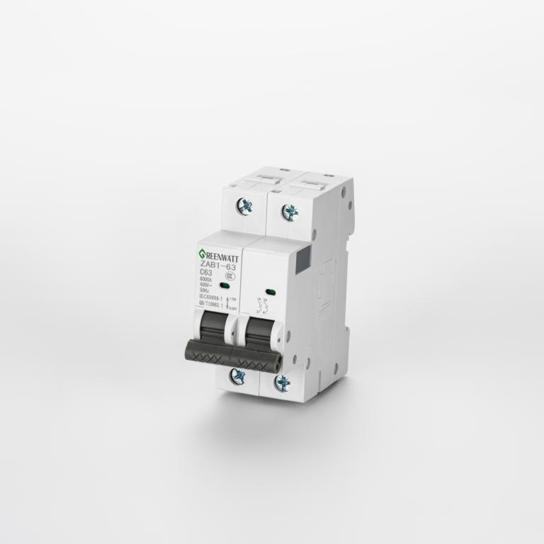 Đường cong cầu dao AC C 40A 2P 6kA