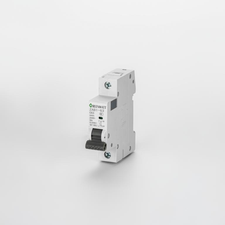 Đường cong cầu dao AC C 63A 1P 6kA