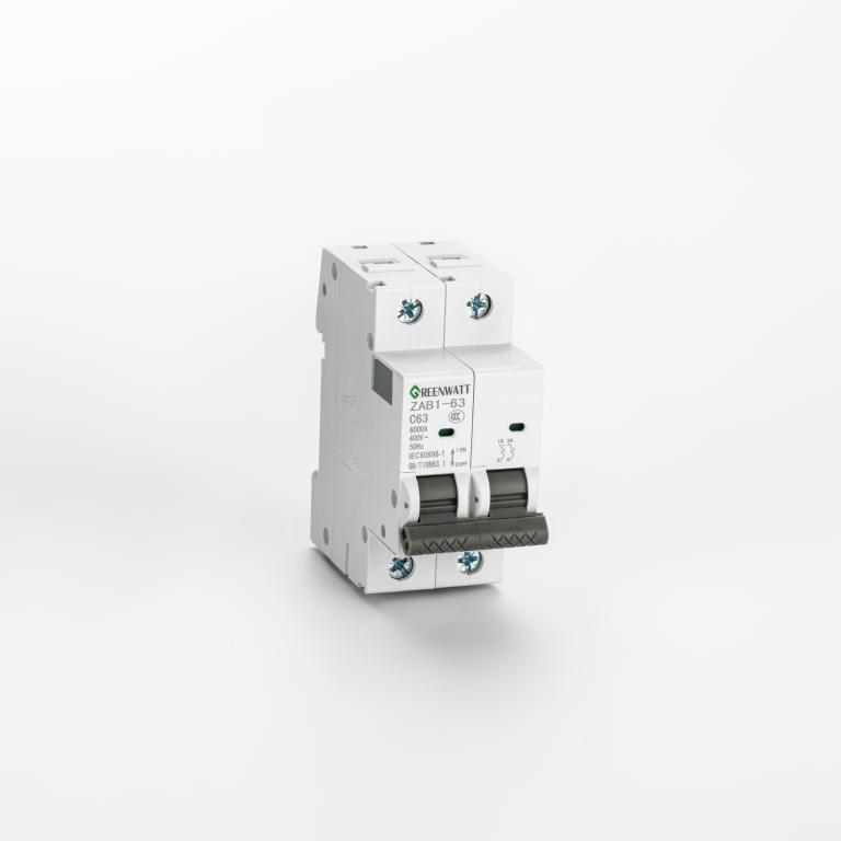 AC Circuit Breaker Curve C 10A 2P 6kA